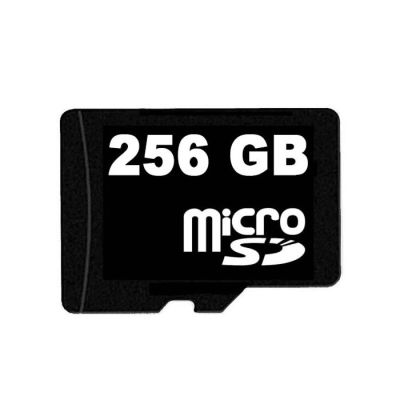 Card memorie 256 GB pentru camere DVR Autolensa