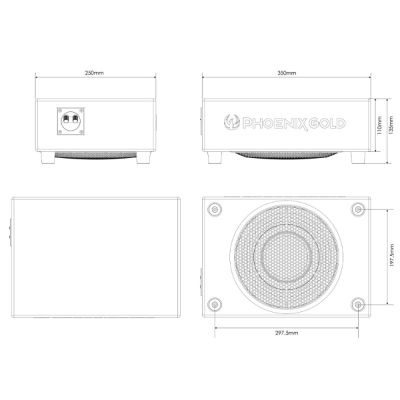 Cutie subwoofer, Phoenix Gold, max 500 W, 250 W RMS, difuzor 8"