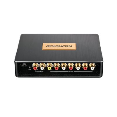 DSD Player auto Goldhorn P2 PRO DSD256 Hi-Res Coaxial Optical BT