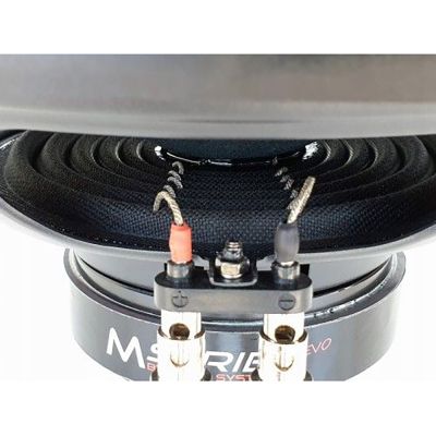 Subwoofer pasiv cu incinta, Audio System, SUBFRAME, 600 w rms, 800 w max, 2 x 10", roata de rezerva